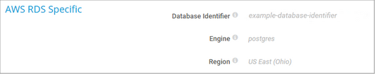 AWS RDS Specific