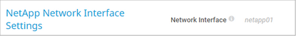 NetApp Network Interface Settings